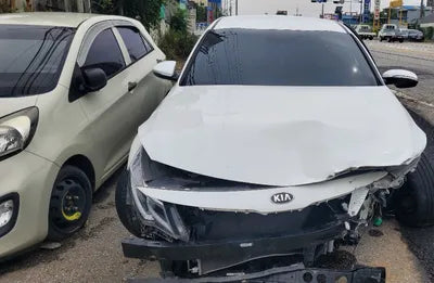 2019 Kia K5 KNAGT411BKA271109 VIN:KNAGT411BKA271109