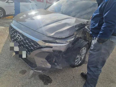 2019 Hyundai Santa FE KMHS281BBLU214044 VIN:KMHS281BBLU214044