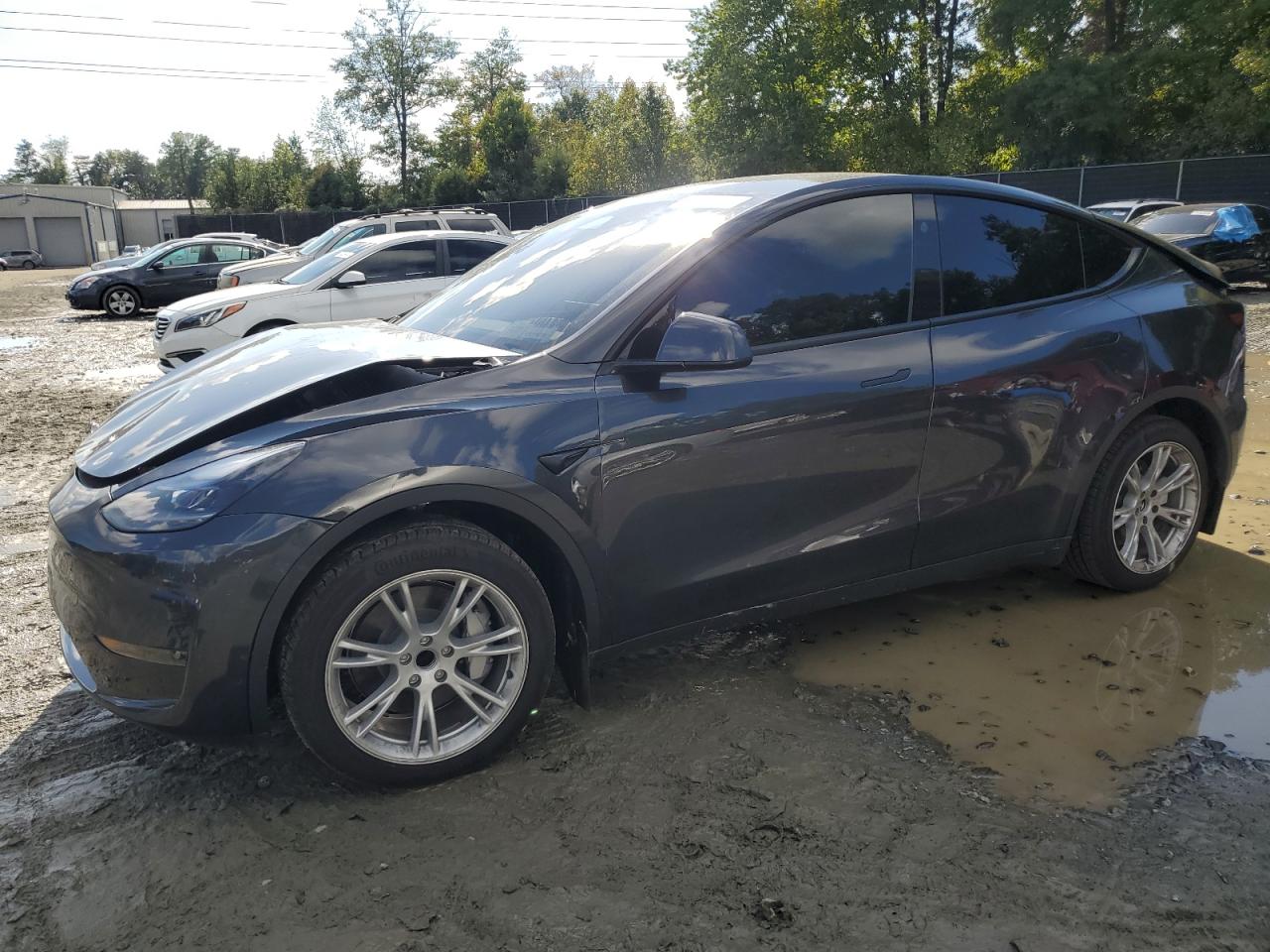 2024 TESLA MODEL Y  VIN:7SAYGDED6RF091911