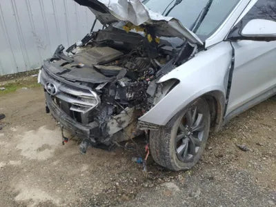 2016 Hyundai Santa FE KMHSW81UDGU601731 VIN:KMHSW81UDGU601731