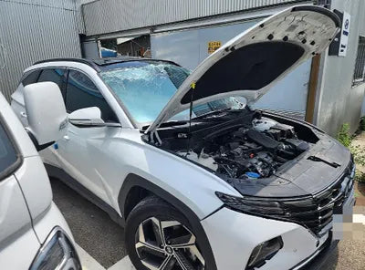 2022 Hyundai Tucson KMHJE81BGNU166835 VIN:KMHJE81BGNU166835