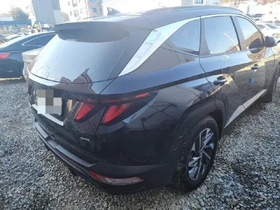 2021 Hyundai Tucson KMHJC81CDMU033919 VIN:KMHJC81CDMU033919