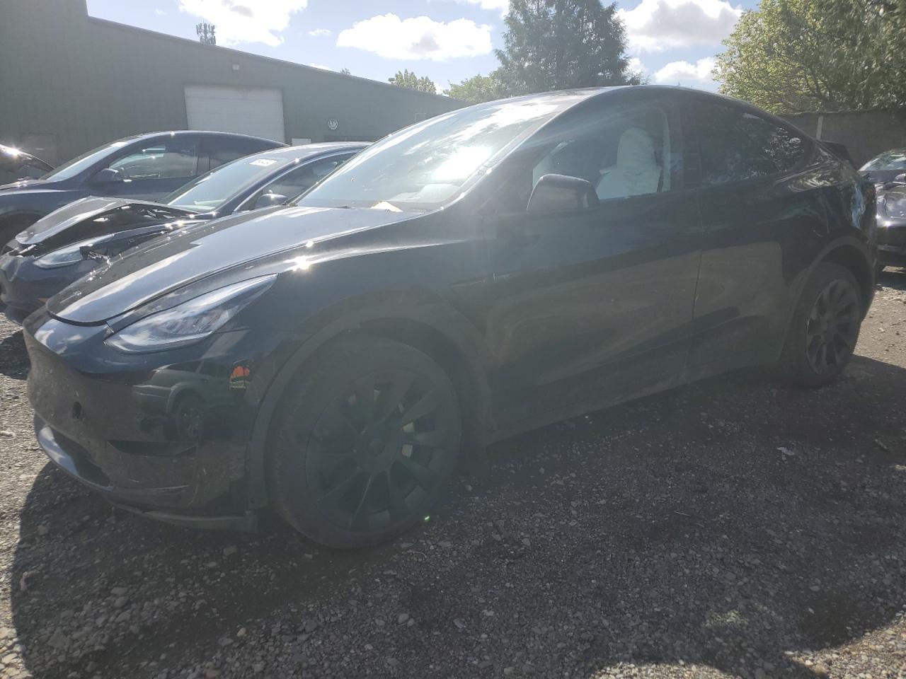 2023 TESLA MODEL Y  VIN:7SAYGDEE8PA098152