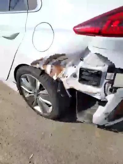 2018 Hyundai Ioniq KMHC851CGKU111744 VIN:KMHC851CGKU111744