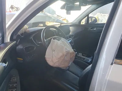 2019 Hyundai Santa FE KMHS281BBKU152315 VIN:KMHS281BBKU152315