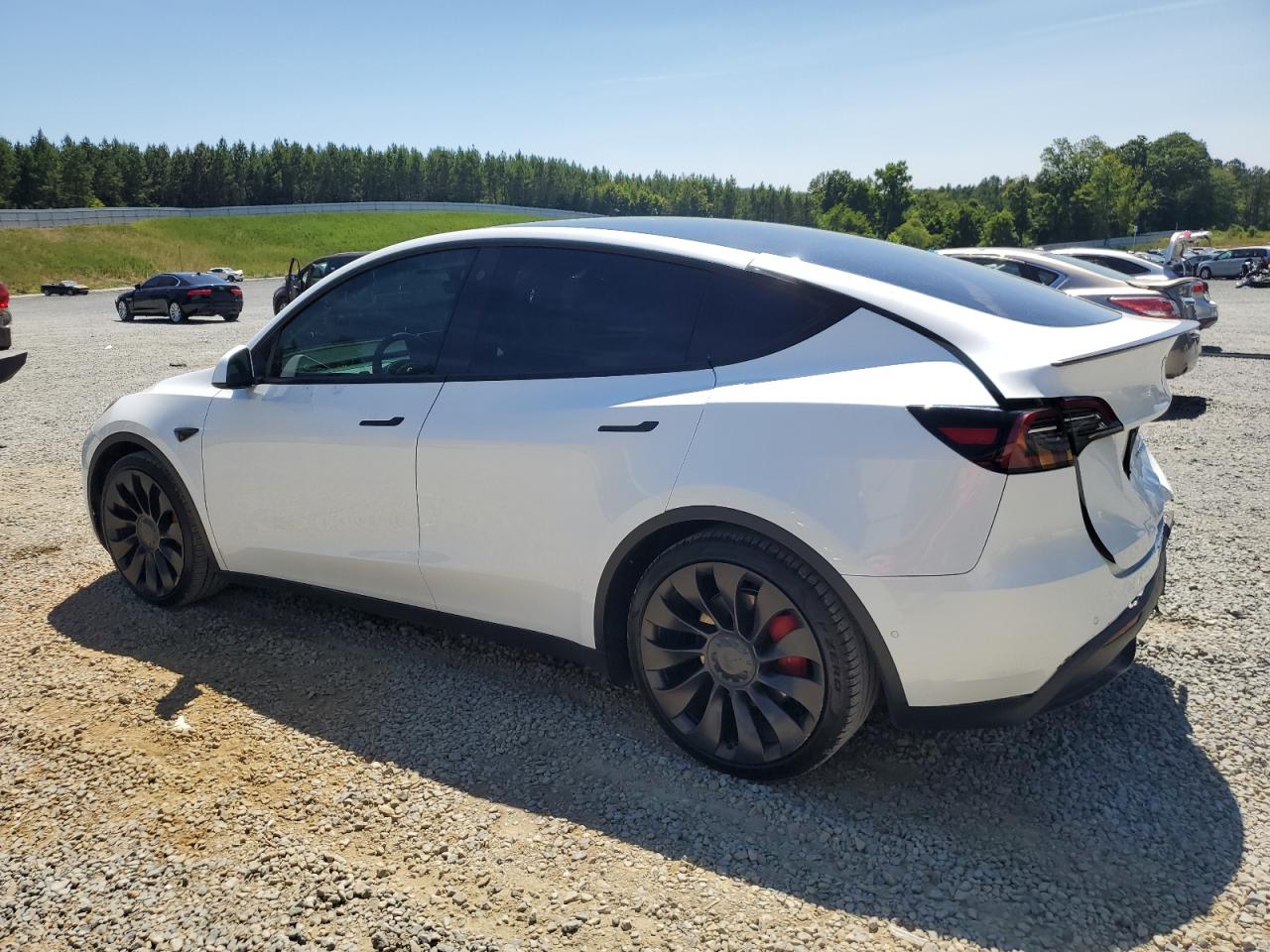 2022 TESLA MODEL Y  VIN:7SAYGDEF6NF457426