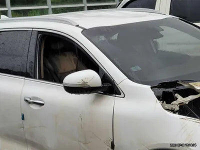 2017 Kia Sorento 323KMKNAPK81ADHA3 VIN:323KMKNAPK81ADHA3