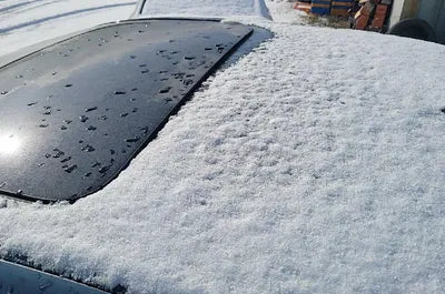 2019 BMW 520 WBAJF510XKGM57601 VIN:WBAJF510XKGM57601