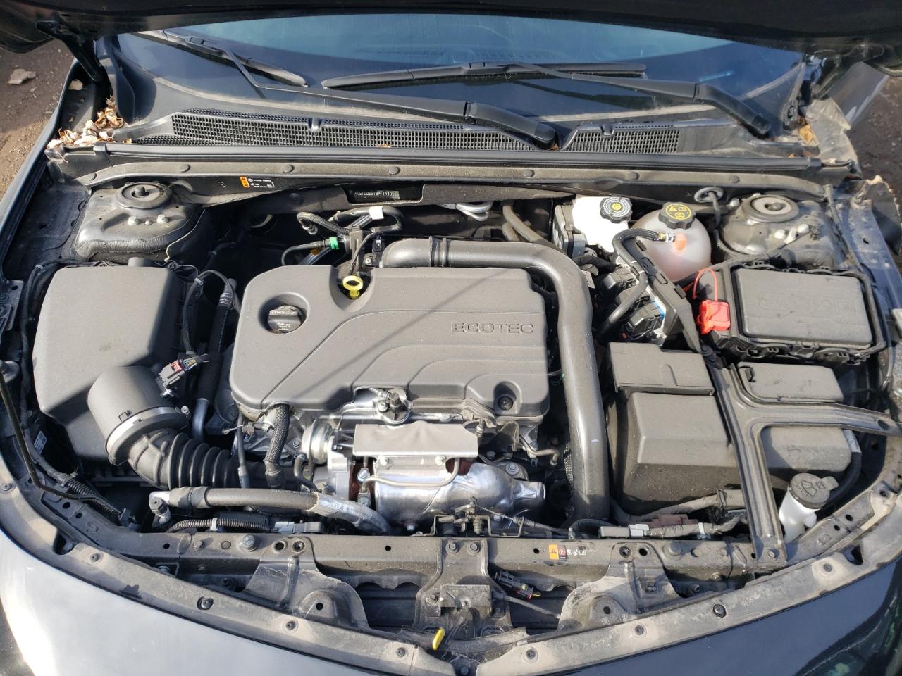 2023 CHEVROLET MALIBU LT VIN:1G1ZD5ST8PF144055