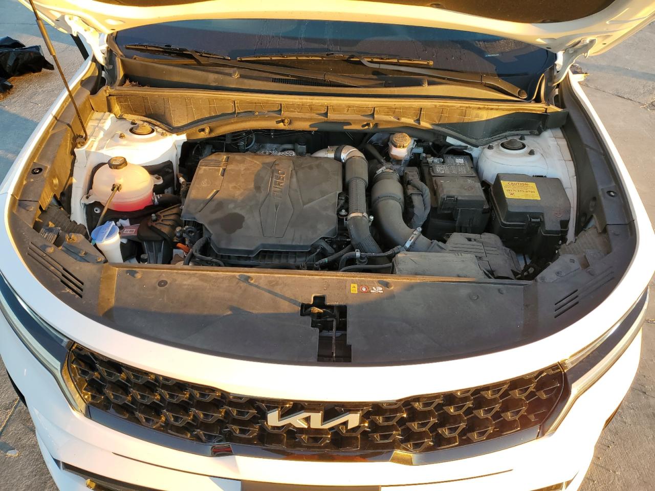 2023 KIA SORENTO SX VIN:5XYRK4LF3PG244075