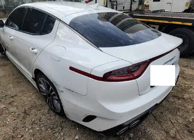 2019 Kia Stinger KNAE651BDKS045522 VIN:KNAE651BDKS045522
