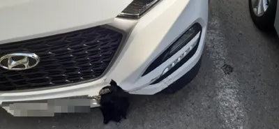 2017 Hyundai Tucson KMHJ3815GJU481733 VIN:KMHJ3815GJU481733