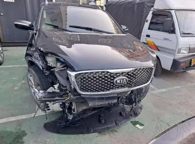 2017 Kia Sorento KNAPH81ABHA316147 VIN:KNAPH81ABHA316147