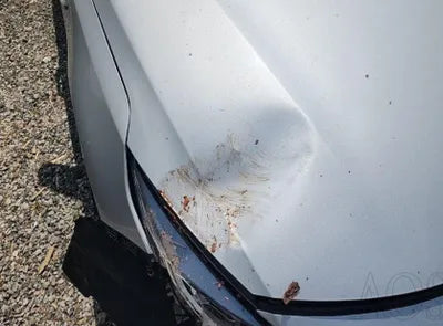 2016 Kia K5 154KMKNAGU416BGA1 VIN:154KMKNAGU416BGA1