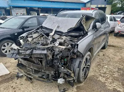 2019 Hyundai Santa FE KMHS381CBKU017002 VIN:KMHS381CBKU017002