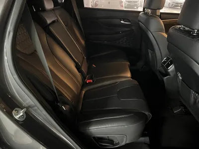 2019 Hyundai Santa FE KMHS281BBKU134851 VIN:KMHS281BBKU134851