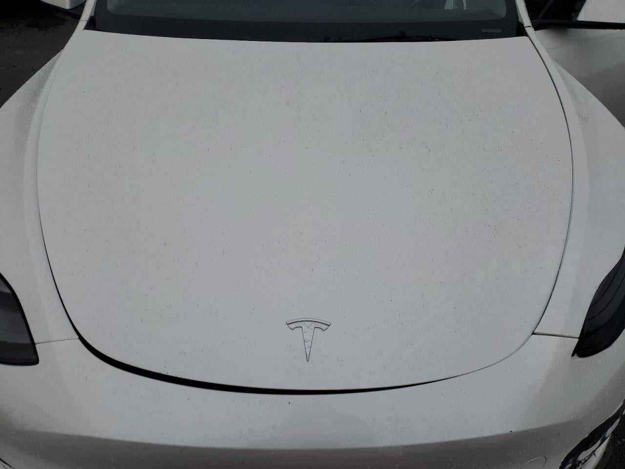 2023 TESLA MODEL Y  VIN:7SAYGDEE1PF669578