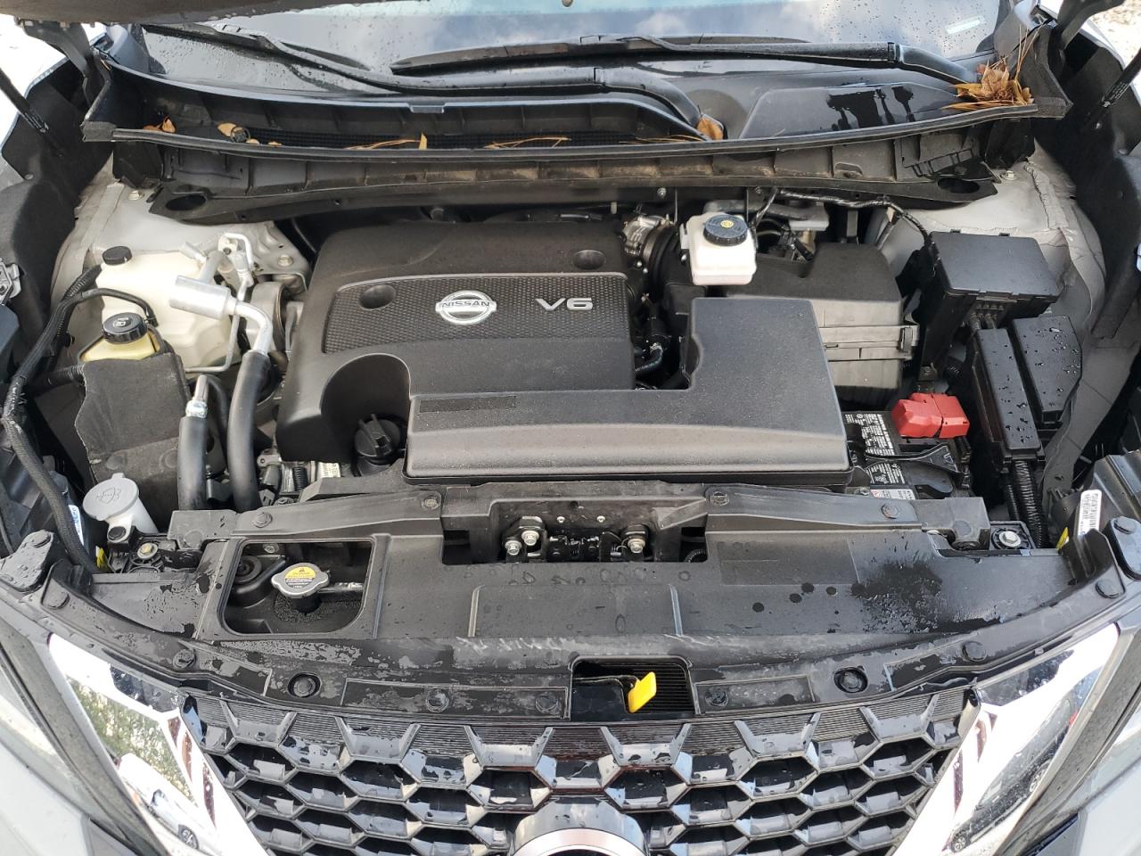 2023 NISSAN MURANO SL VIN:5N1AZ2CJ7PC118125