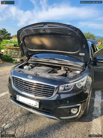 2017 Kia Carnival KNAME81ABJS390079 VIN:KNAME81ABJS390079