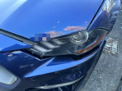 2019 Ford Mustang 442KM1FA6P8TH4K51 VIN:442KM1FA6P8TH4K51