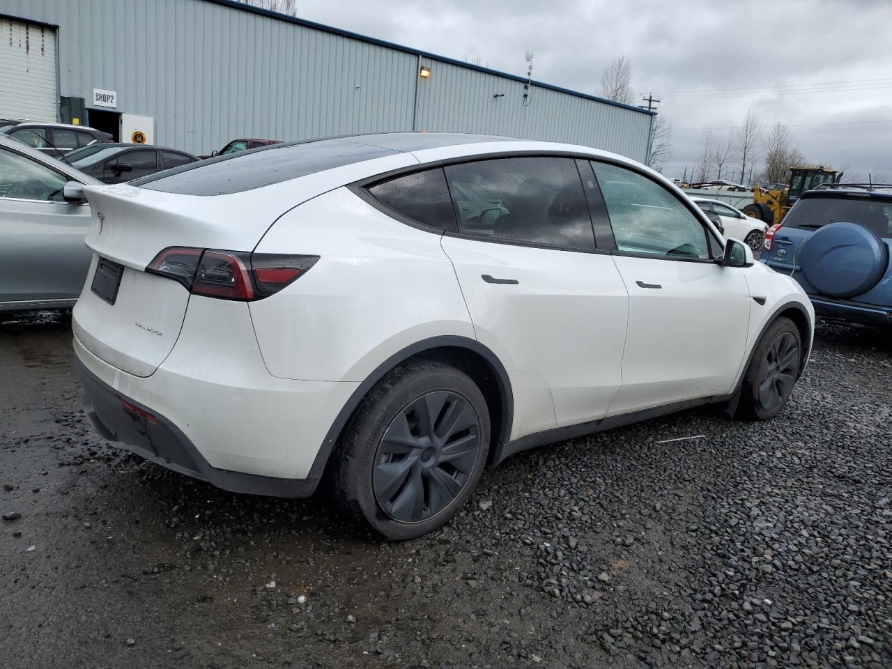 2024 TESLA MODEL Y  VIN:7SAYGDEE5RF115706