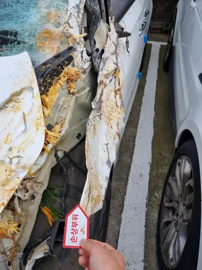 2019 Kia Carnival KNAMB81ABKS472953 VIN:KNAMB81ABKS472953
