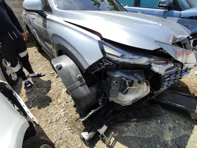 2019 Hyundai Santa FE KMHS381BBKU156411 VIN:KMHS381BBKU156411