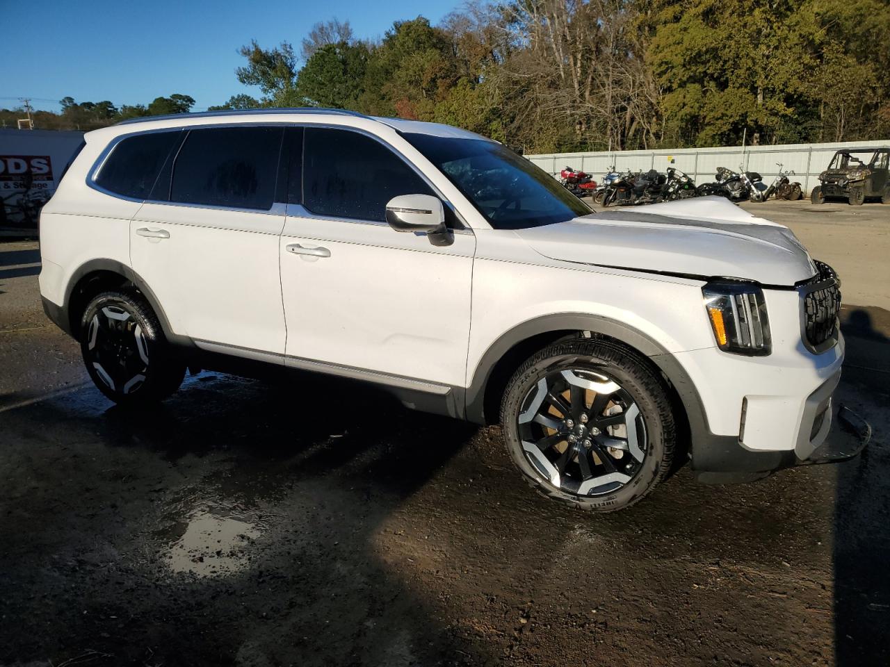 2024 KIA TELLURIDE EX VIN:5XYP3DGC6RG483966