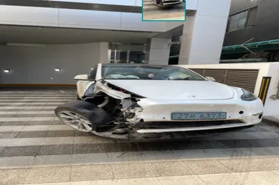 2021 Tesla Model Y 5YJYGDEE7MF167604 VIN:5YJYGDEE7MF167604