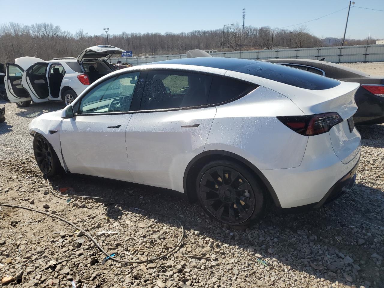 2023 TESLA MODEL Y  VIN:7SAYGDEE5PF691745