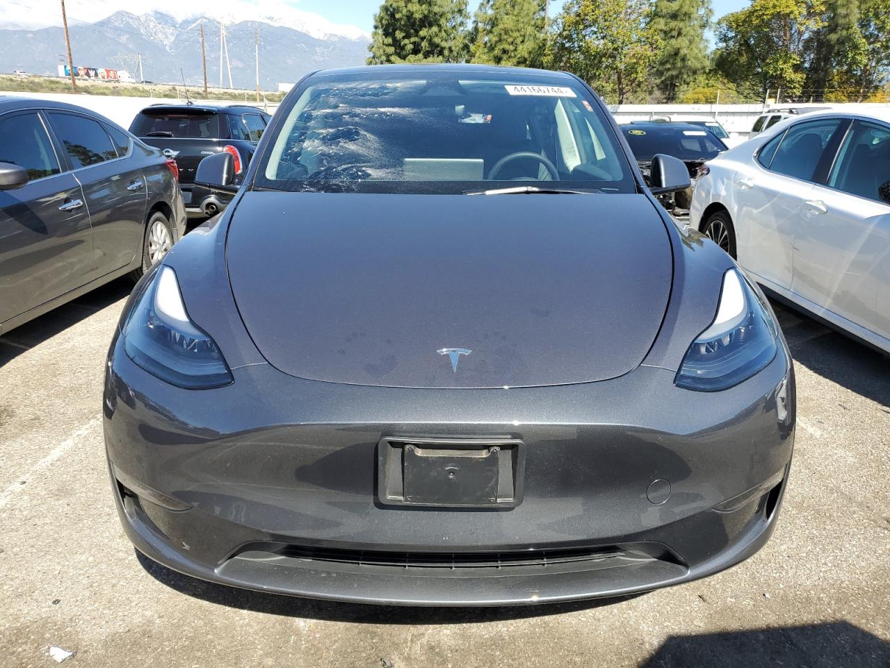 2023 TESLA MODEL Y  VIN:7SAYGDEE2PF878473