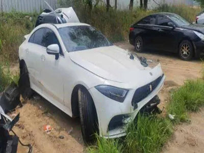 2020 Mercedes-Benz CLS 300 W1K2J1JB1LA055993 VIN:W1K2J1JB1LA055993