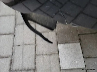 2015 Bentley Flying Spur SCBEL53W8FC047880 VIN:SCBEL53W8FC047880