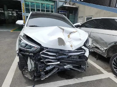 2018 Hyundai Santa FE KMHSW81UBJU804431 VIN:KMHSW81UBJU804431