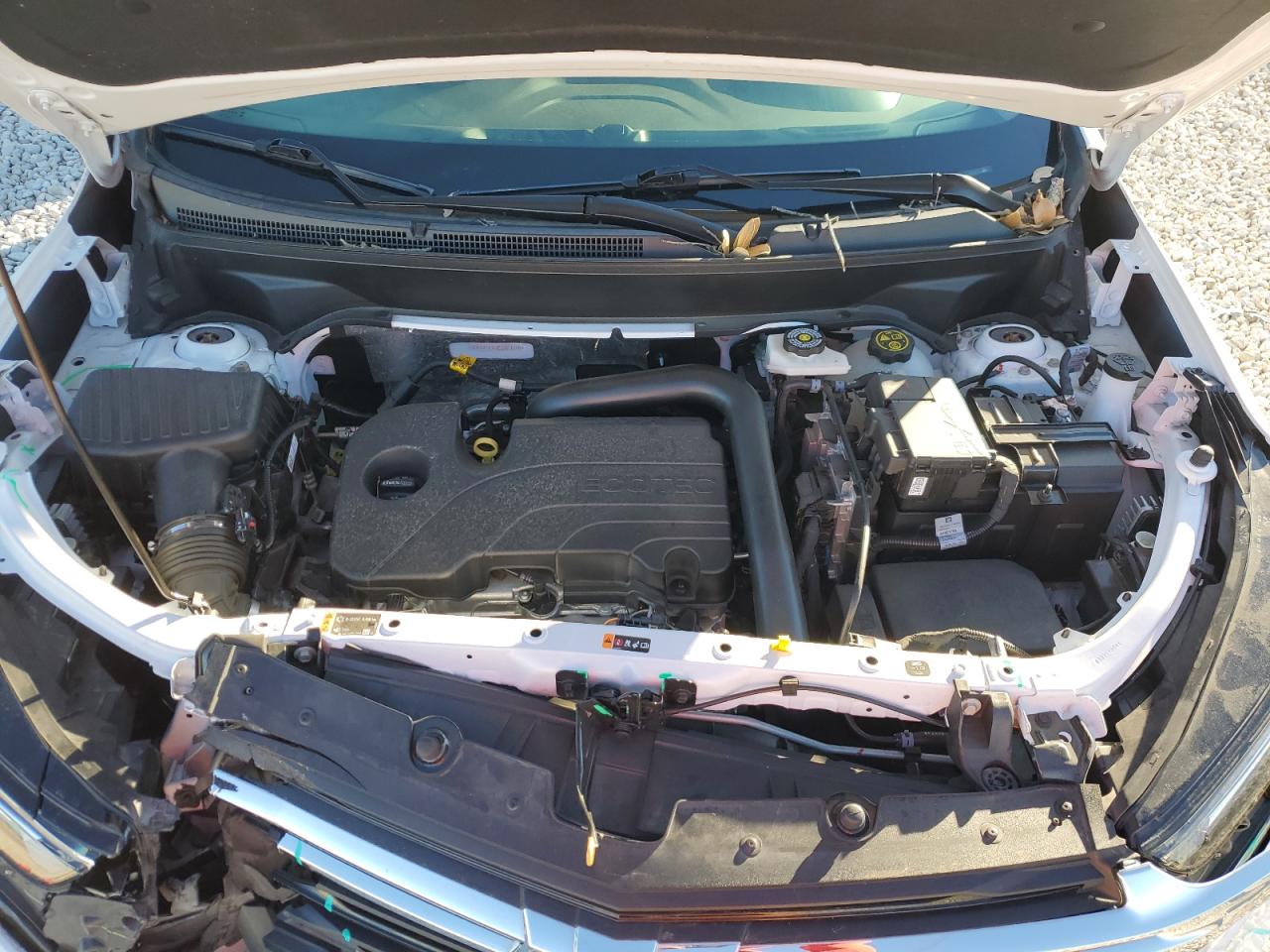 2023 CHEVROLET EQUINOX LT VIN:3GNAXTEG0PL203076