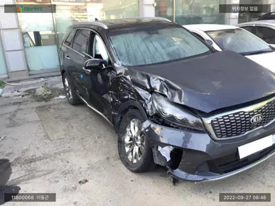 2019 Kia Sorento KNAPG81BBKA543174 VIN:KNAPG81BBKA543174