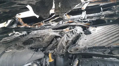 2015 Mercedes-Benz B 200 668KMWDDMH0JB5FN1 VIN:668KMWDDMH0JB5FN1