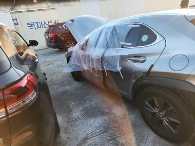 2020 Lexus UX 250 VIN: