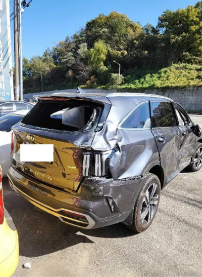 2021 Kia Sorento KNARK81GBMA014905 VIN:KNARK81GBMA014905
