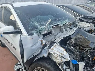 2019 Hyundai Kona KMHK3816GKU310946 VIN:KMHK3816GKU310946