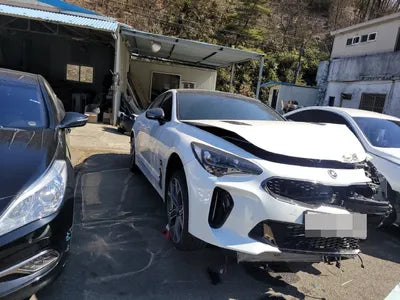 2020 Kia Stinger KNAE751CBLS082686 VIN:KNAE751CBLS082686