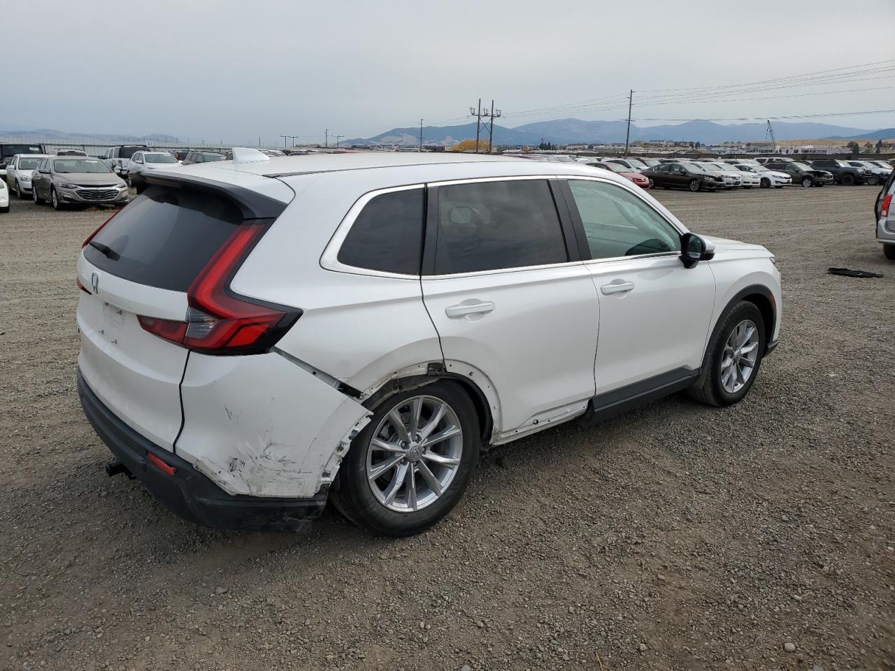 2024 HONDA CR-V EXL VIN:2HKRS4H73RH420121