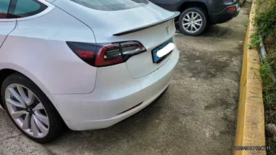 2020 Tesla Model 3 5YJ3E1EB0LF725098 VIN:5YJ3E1EB0LF725098