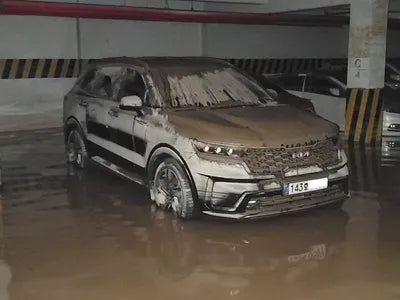 2021 Kia Sorento KNARH81GBNA084811 VIN:KNARH81GBNA084811