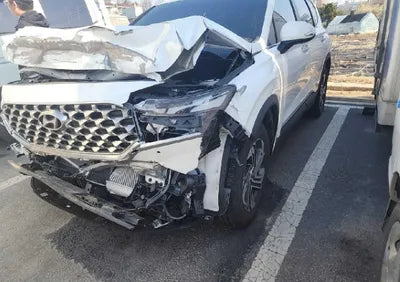 2022 Hyundai Santa FE KMHS281LGNU446410 VIN:KMHS281LGNU446410