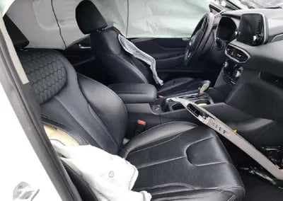 2020 Hyundai Santa FE KMHS281CDLU225449 VIN:KMHS281CDLU225449