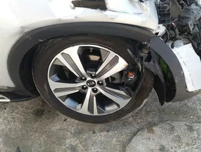 2017 Kia Sorento KNAPS81ABJA422175 VIN:KNAPS81ABJA422175