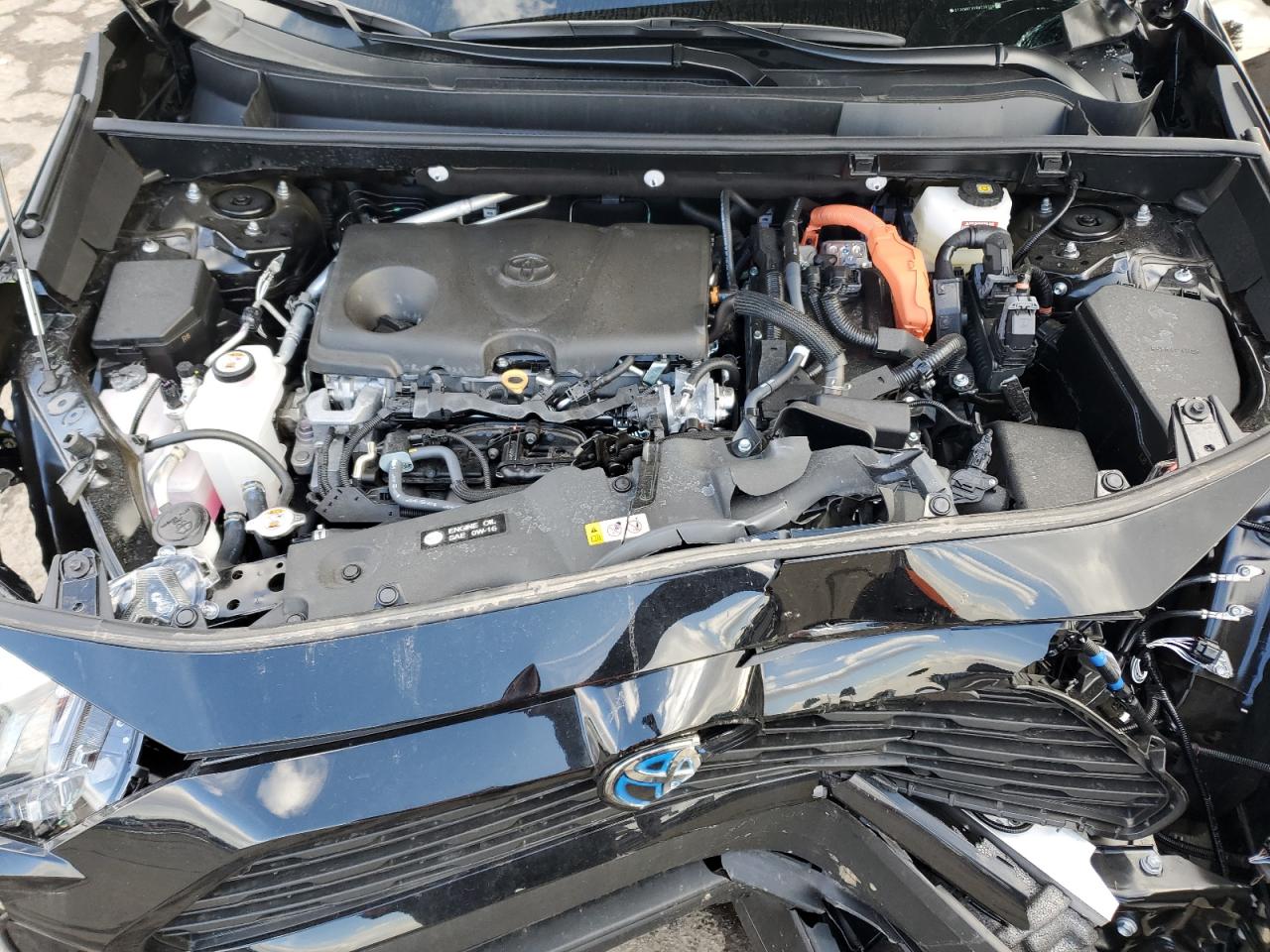 2024 TOYOTA RAV4 WOODLAND EDITION VIN:2T3UWRFVXRW238325