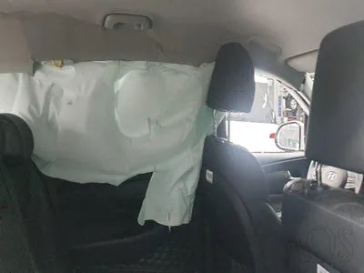 2021 Hyundai Santa FE KMHS281HGMU344697 VIN:KMHS281HGMU344697