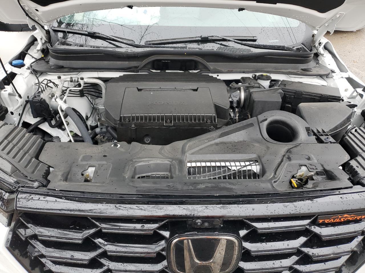 2024 HONDA PILOT TRAILSPORT VIN:5FNYG1H65RB036567